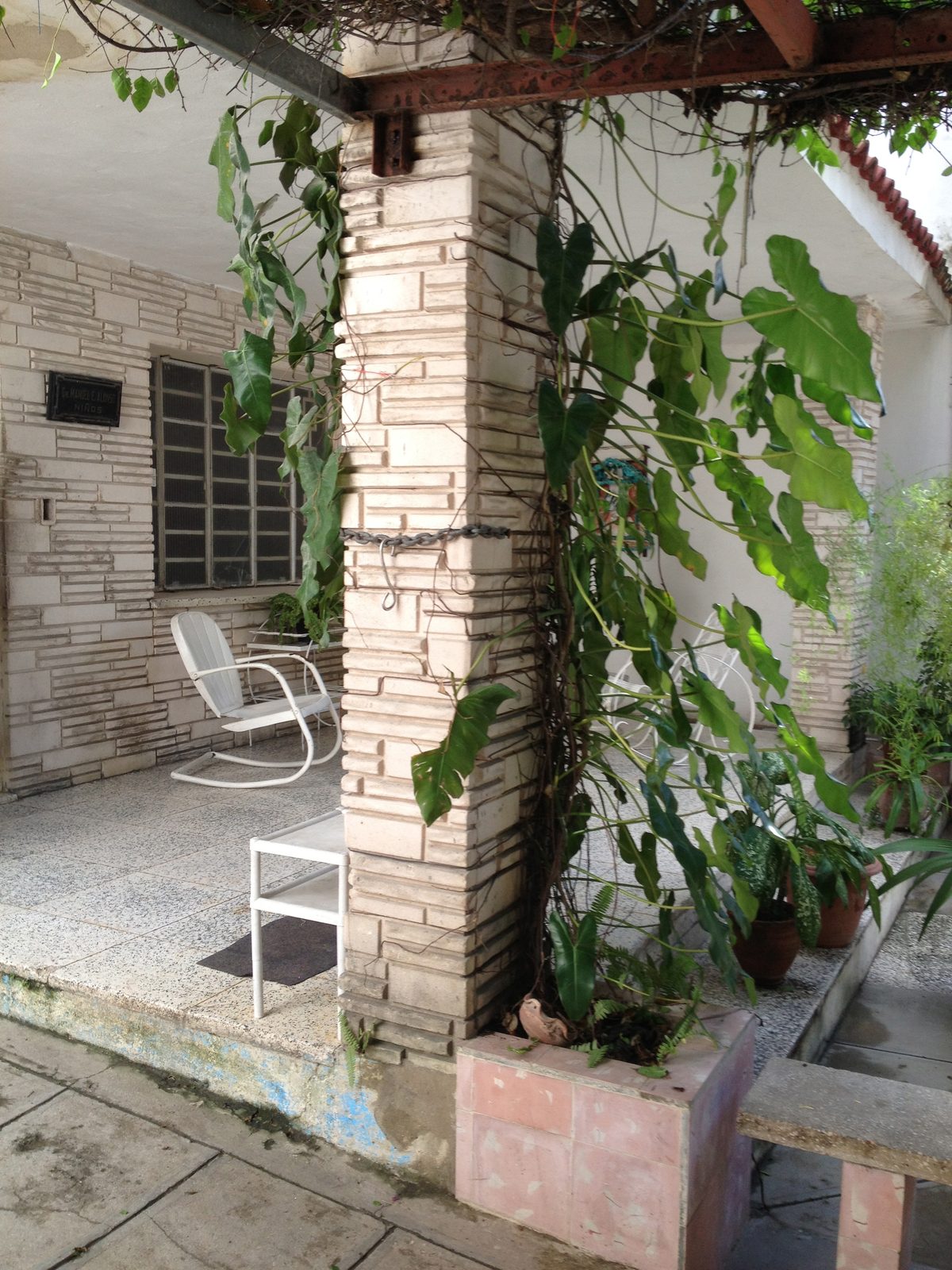 We were all seated in the backyard which was quite pleasant.